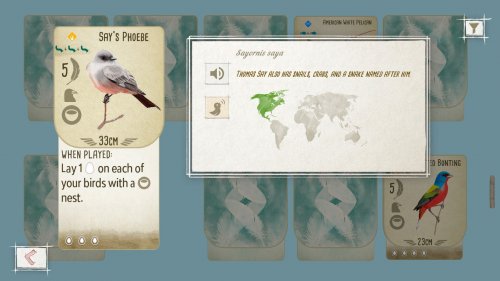 Screenshot of Wingspan
