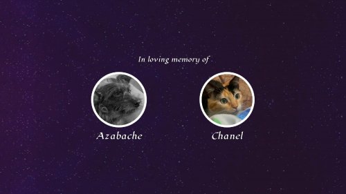 Screenshot of The Last Cat in the Universe