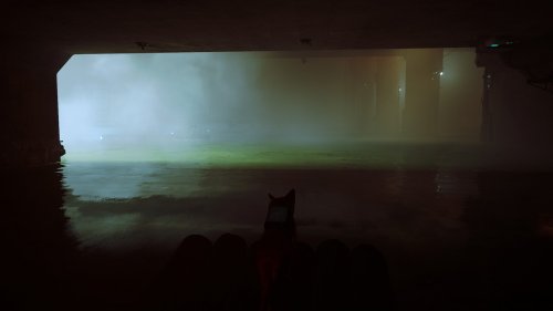 Screenshot of Stray