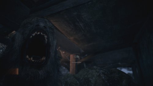 Screenshot of Resident Evil Village