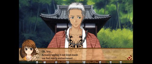 Screenshot of Bakumatsu Renka SHINSENGUMI